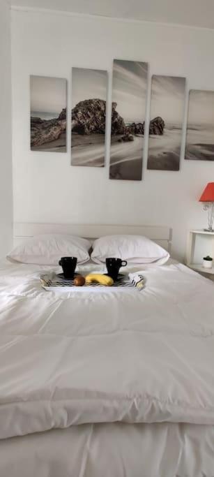 Chez Emy & Tom Leilighet Cabourg Eksteriør bilde
